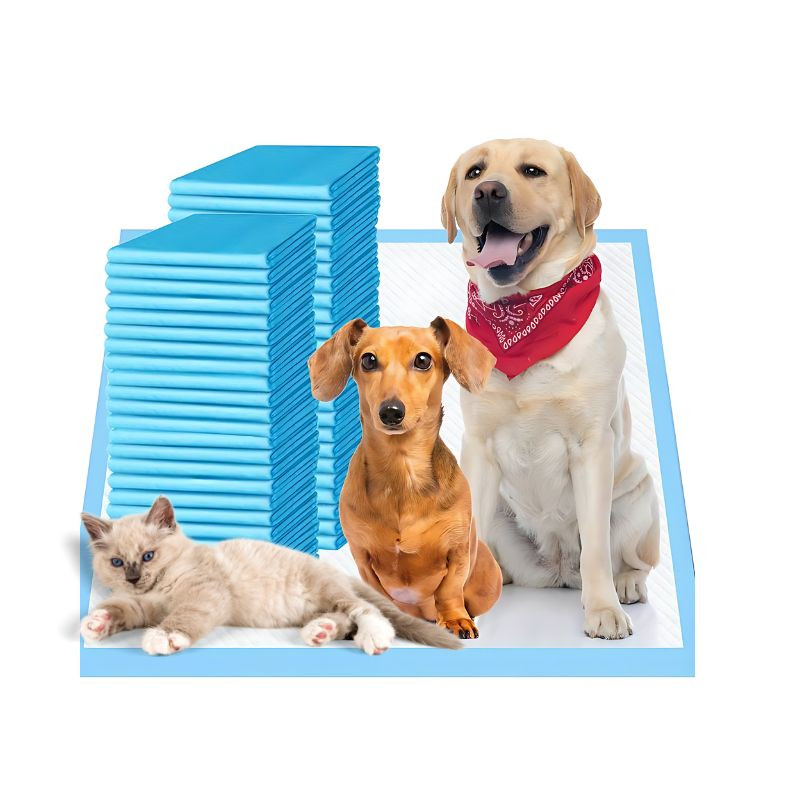 PET PEE PAD TRAINING MAT M 50 SLICE 45CM X 60CM