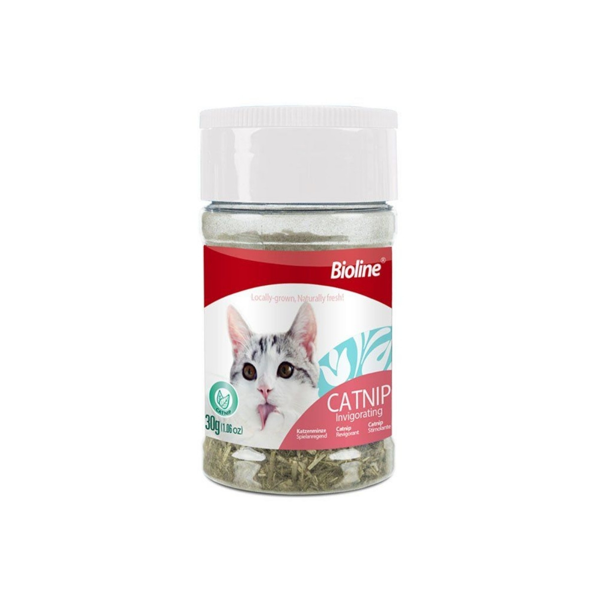 Bioline Catnip Leaves