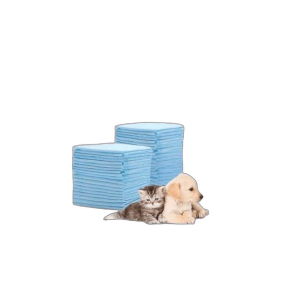 PET PEE PAD TRAINING MAT L 40 SLICE 60CM X 60CM