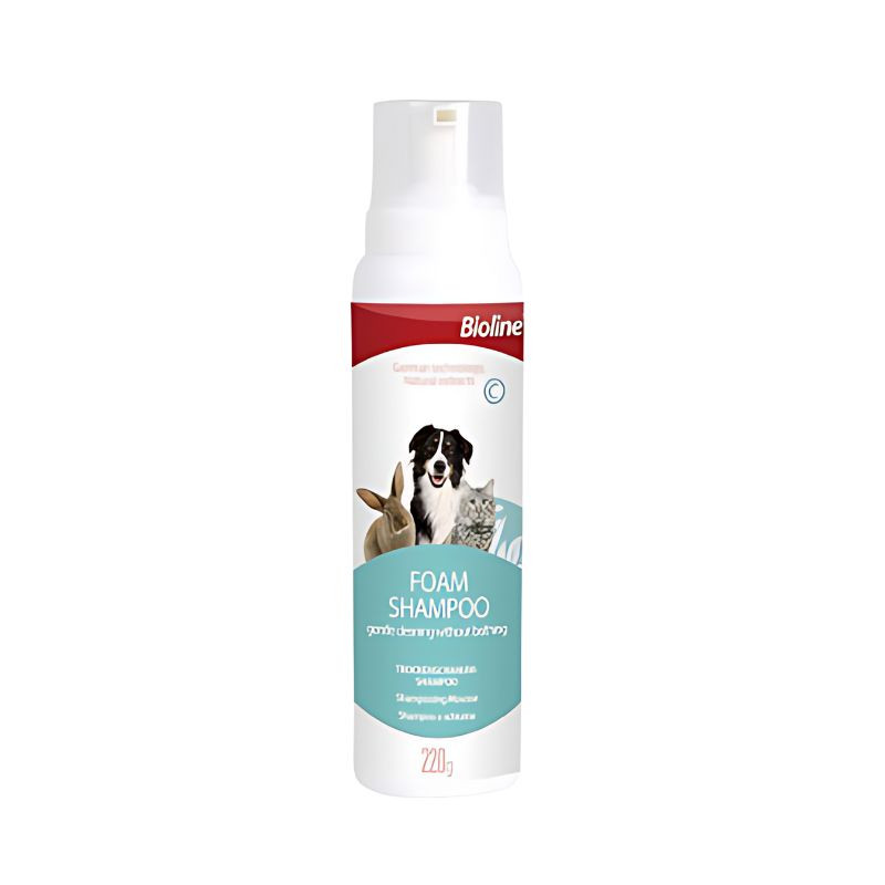 Bioline Dry Foam Shampoo