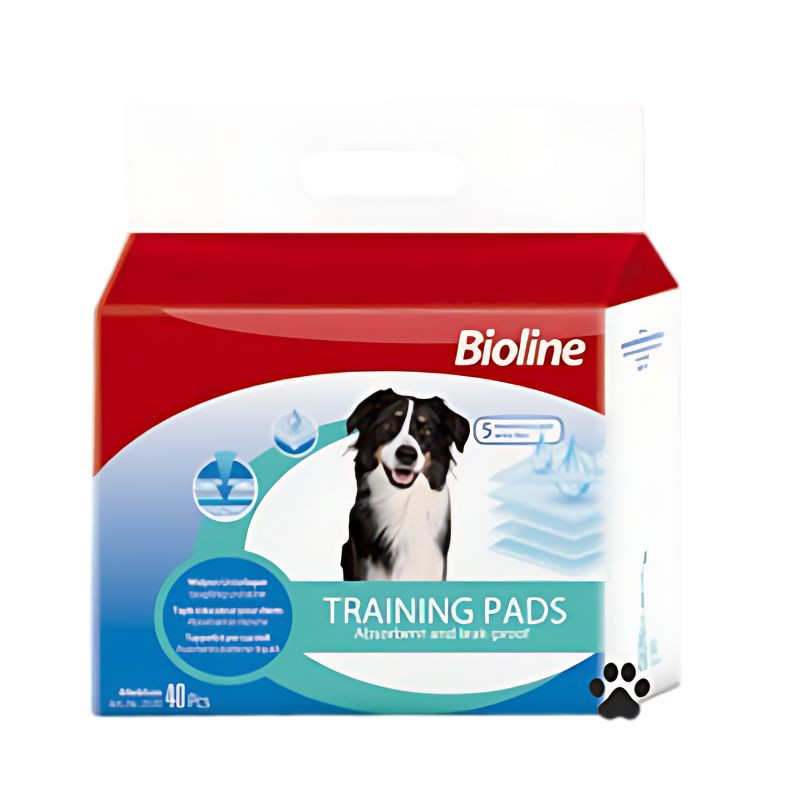 Bioline Training Pads (60x60cm)