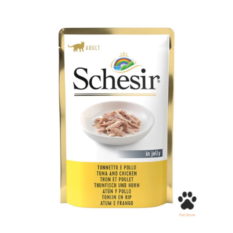 Schesir Cat Pouch Chicken with Pumpkin Soup